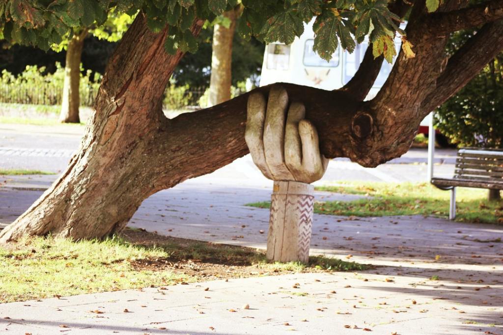 Tree leaning toward the ground, supported by a sculpture of a wooden hand.